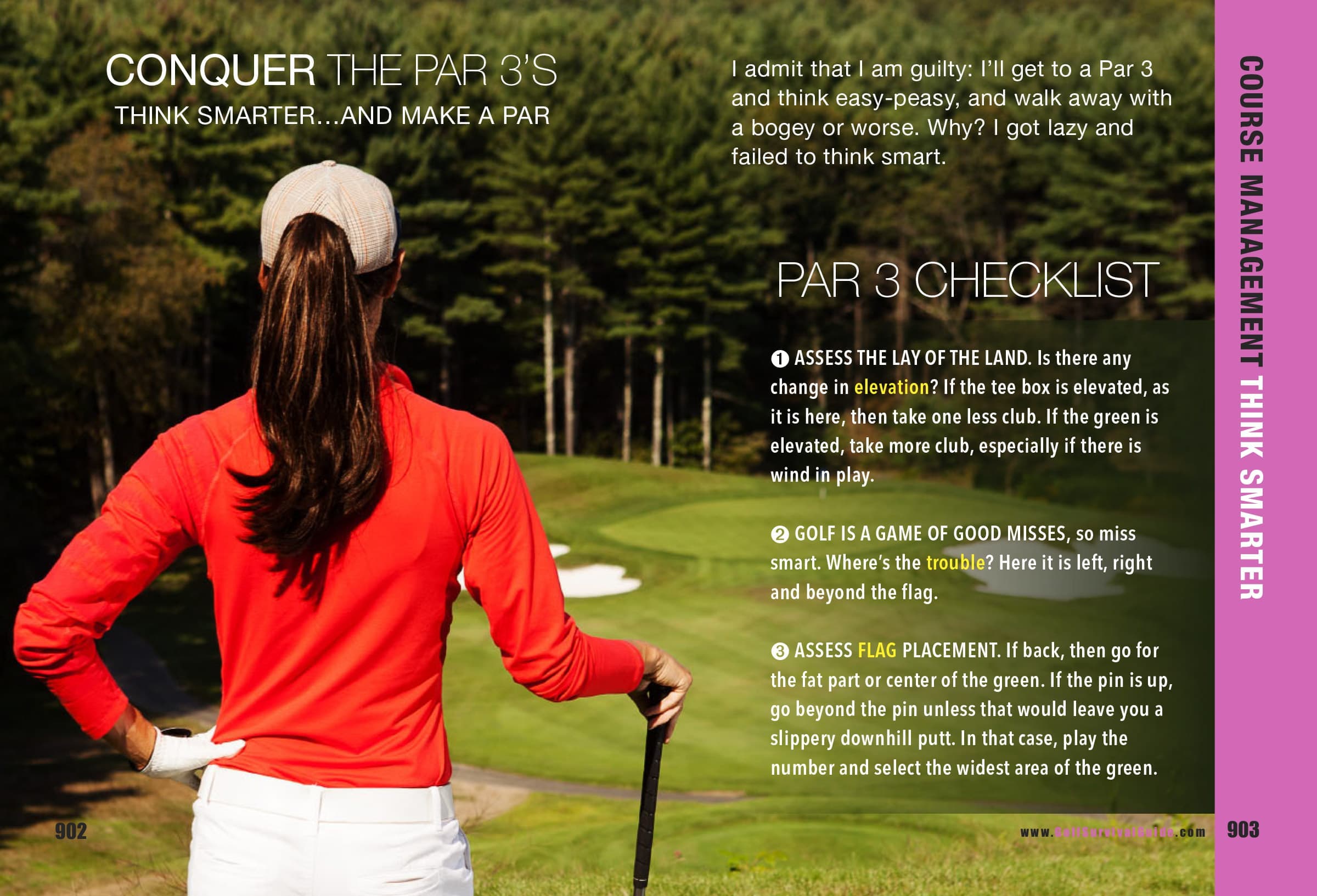 Conquer the Par 3s