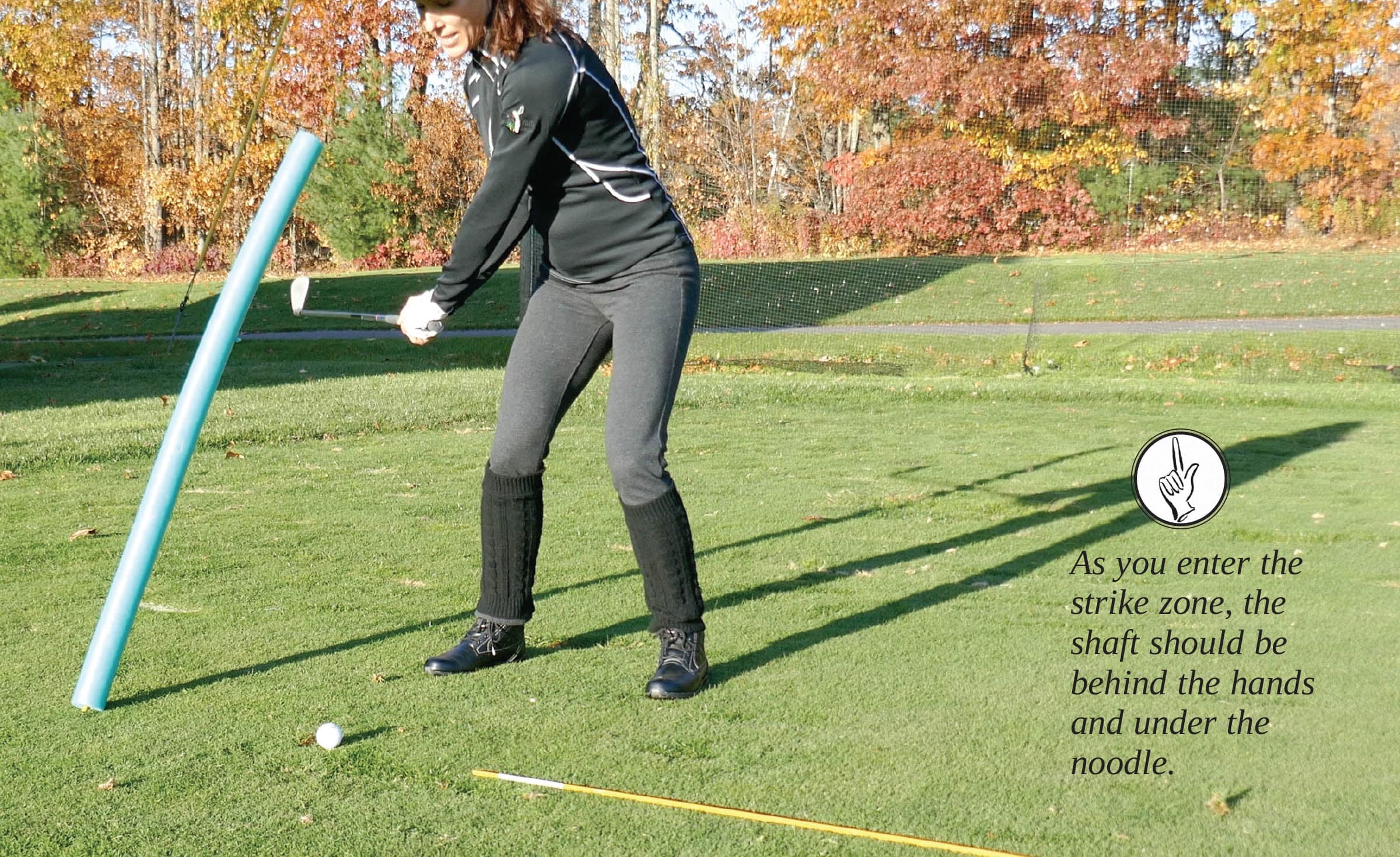 Noodle for In to Out