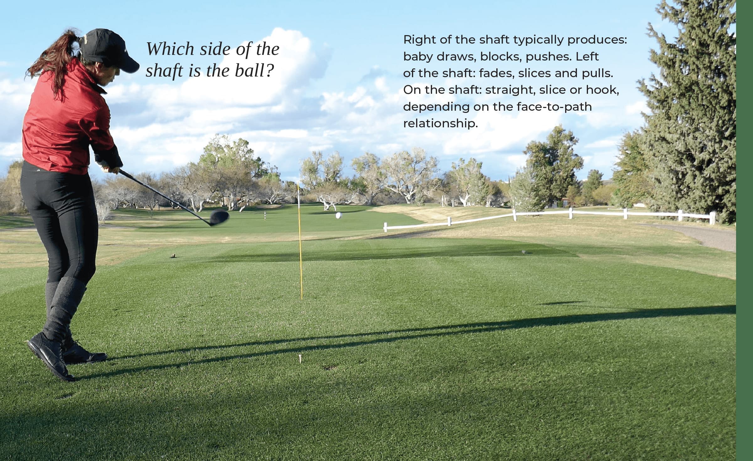 Where's Your Ball Starting 2