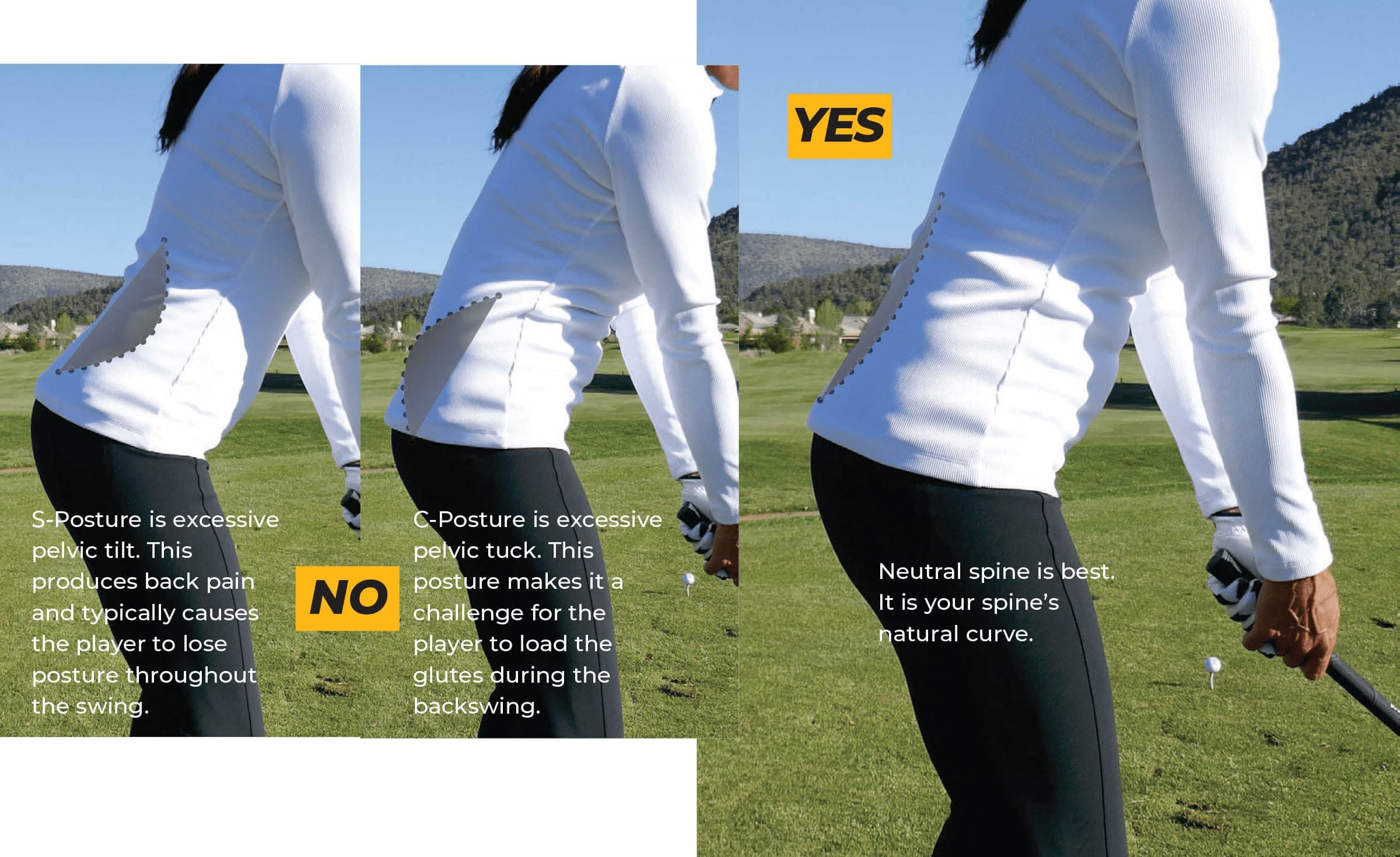 Driver Setup Lower Back and Core