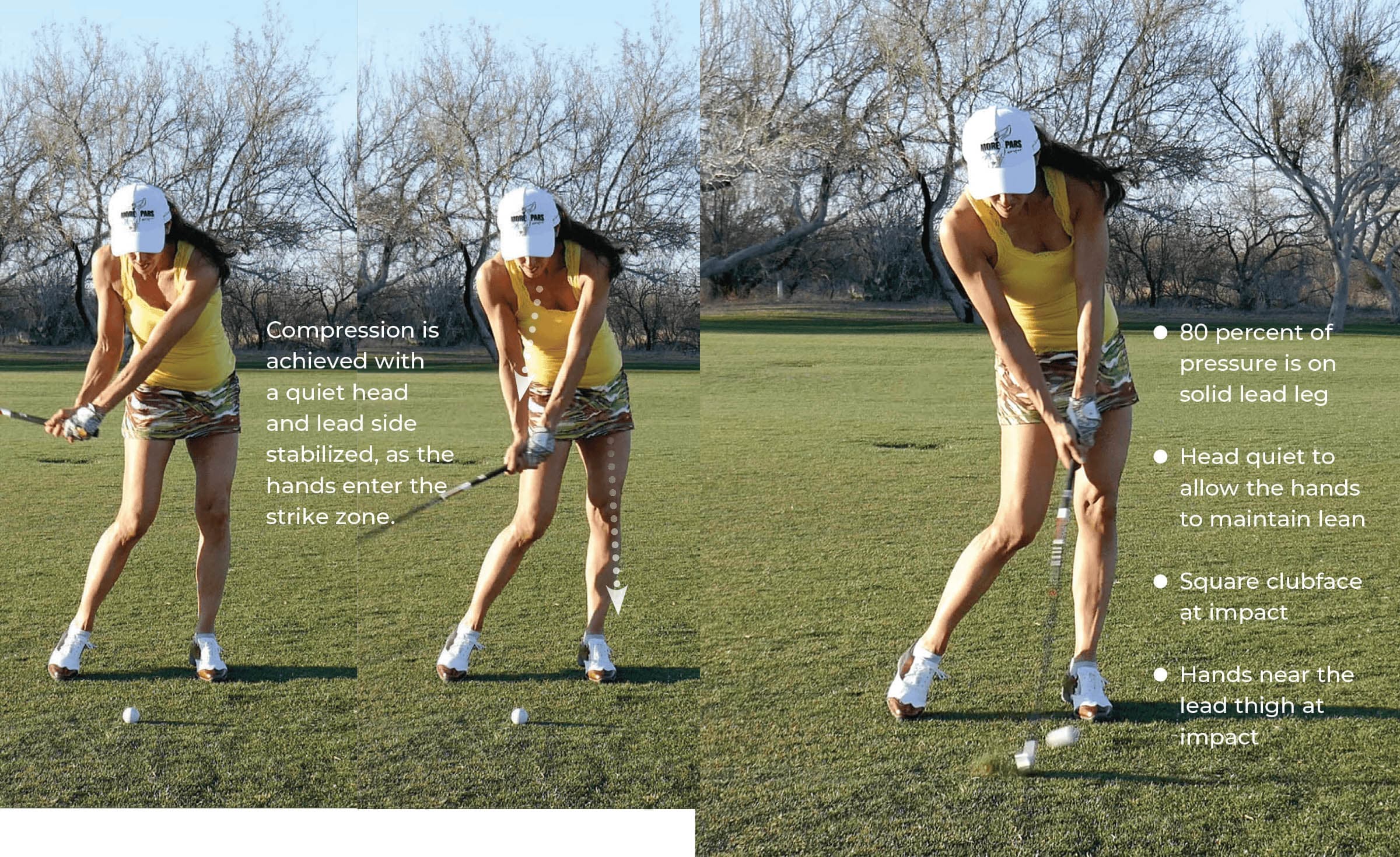 Quiet Head Lead Leg Stable