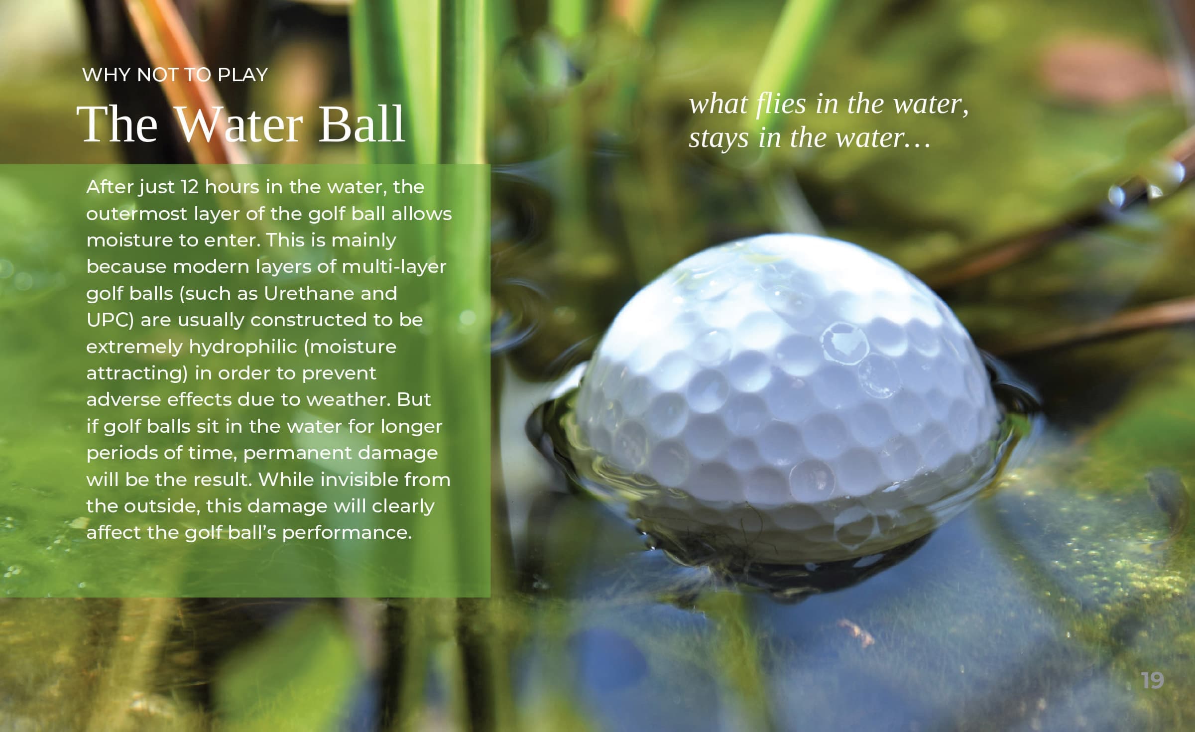 Water Ball