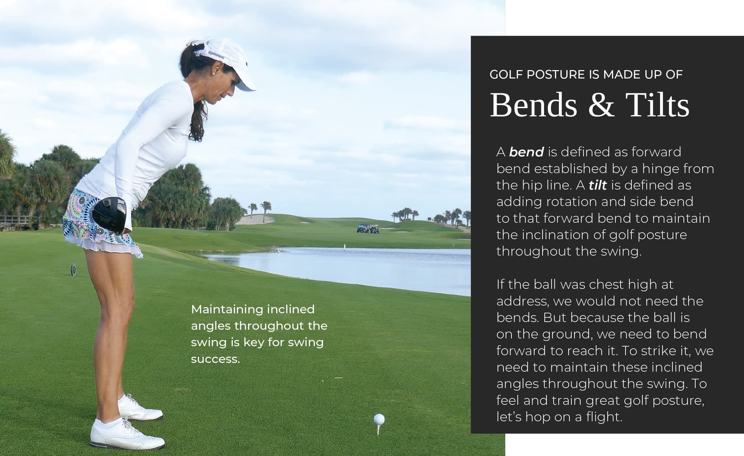 Understanding Posture 2