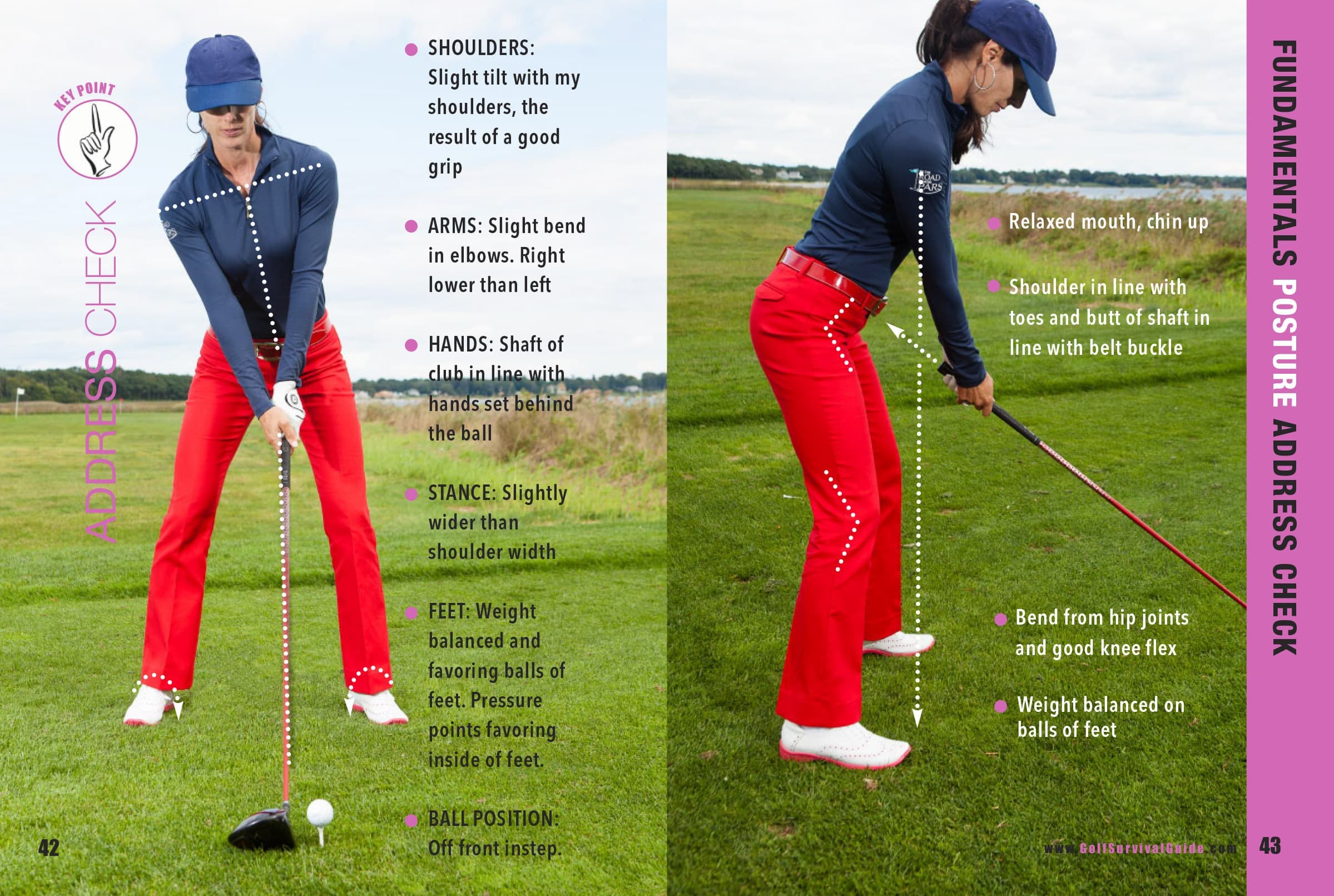 Driver Address Check 