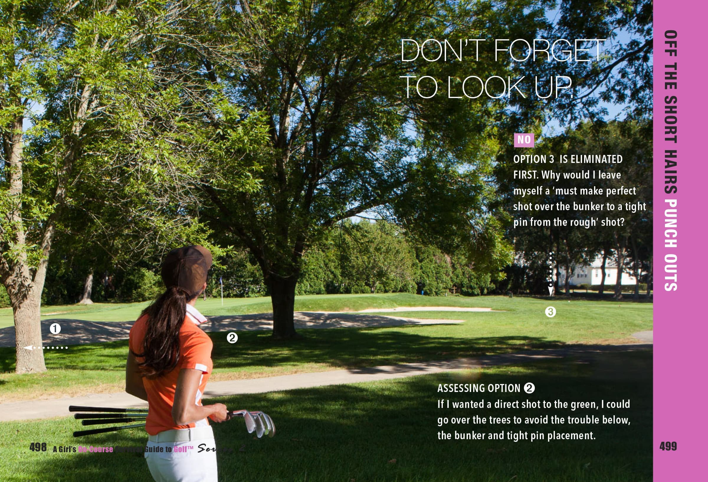 Tall Grass and Trees 2