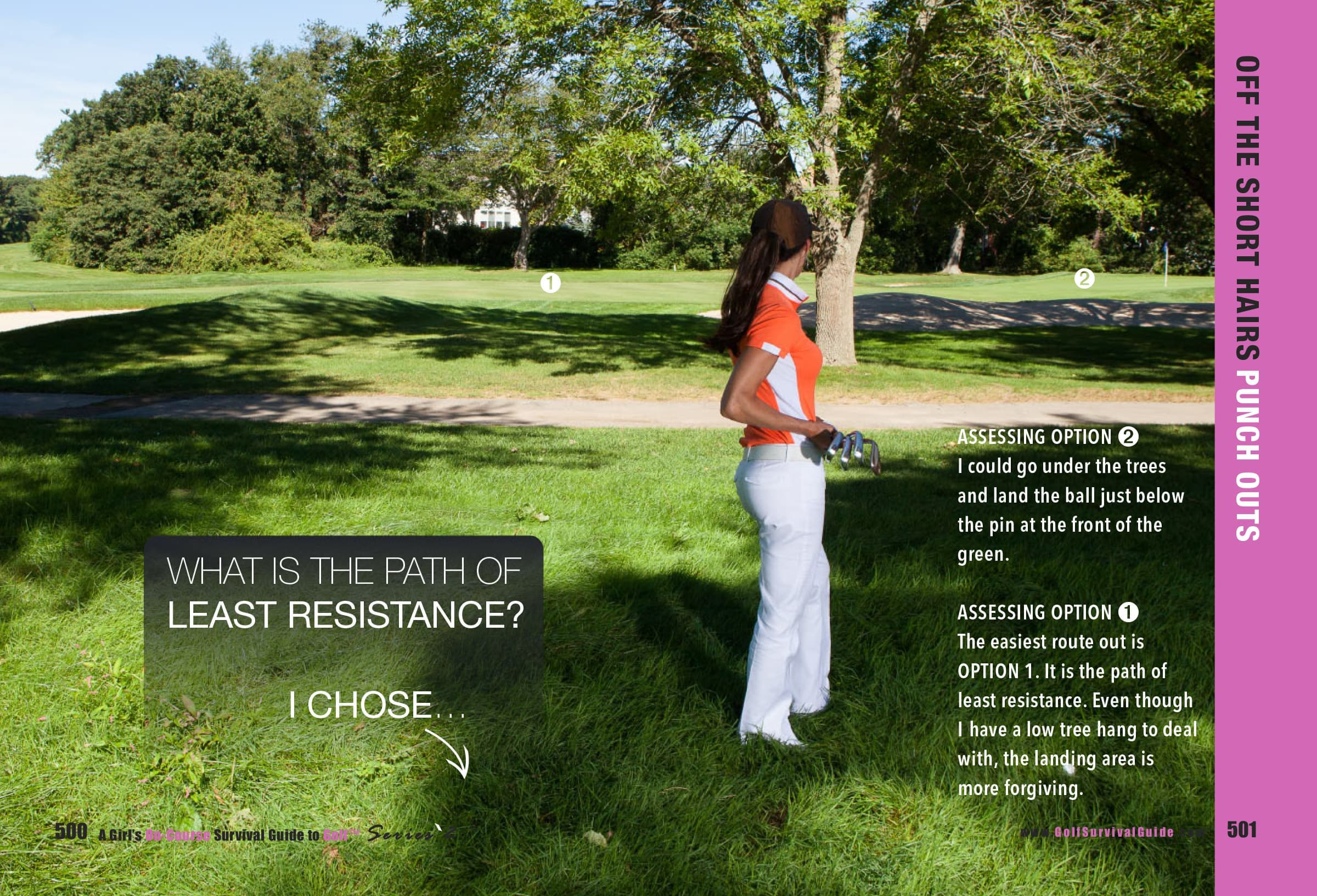 Tall Grass and Trees 3