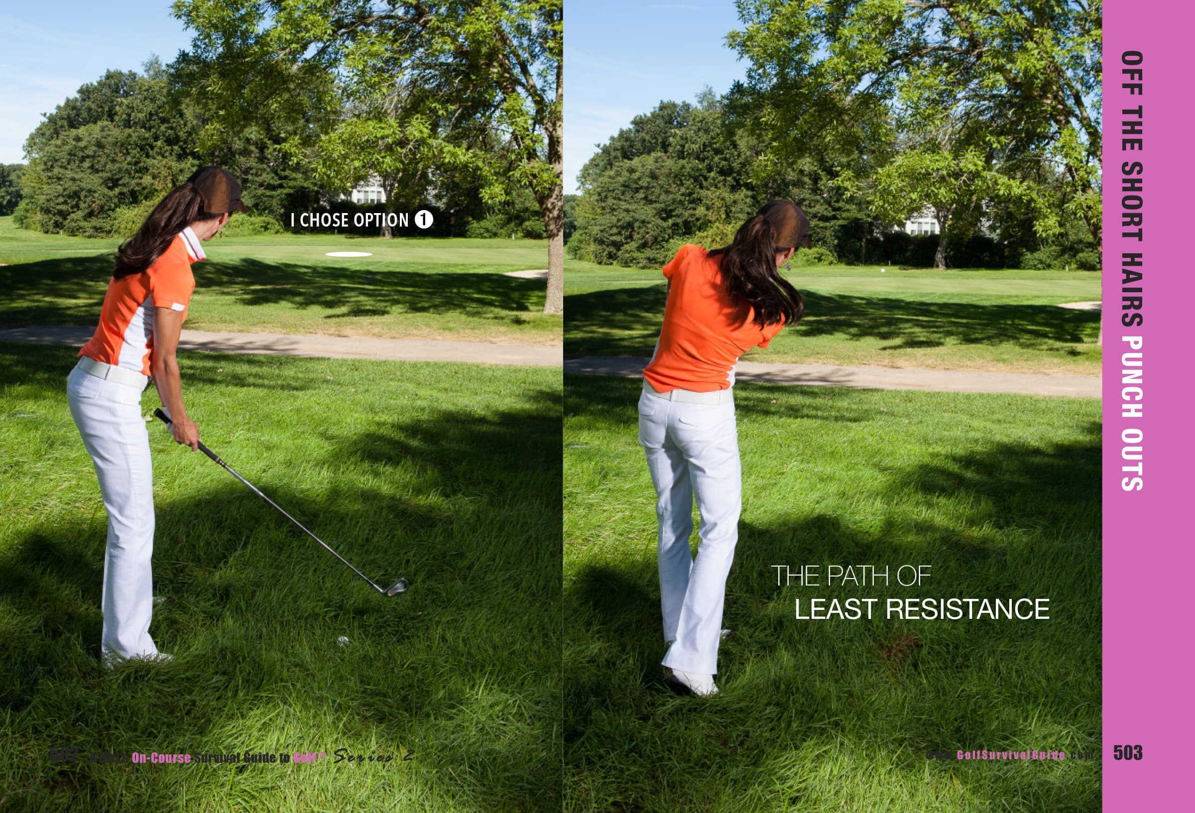 Tall Grass and Trees 4