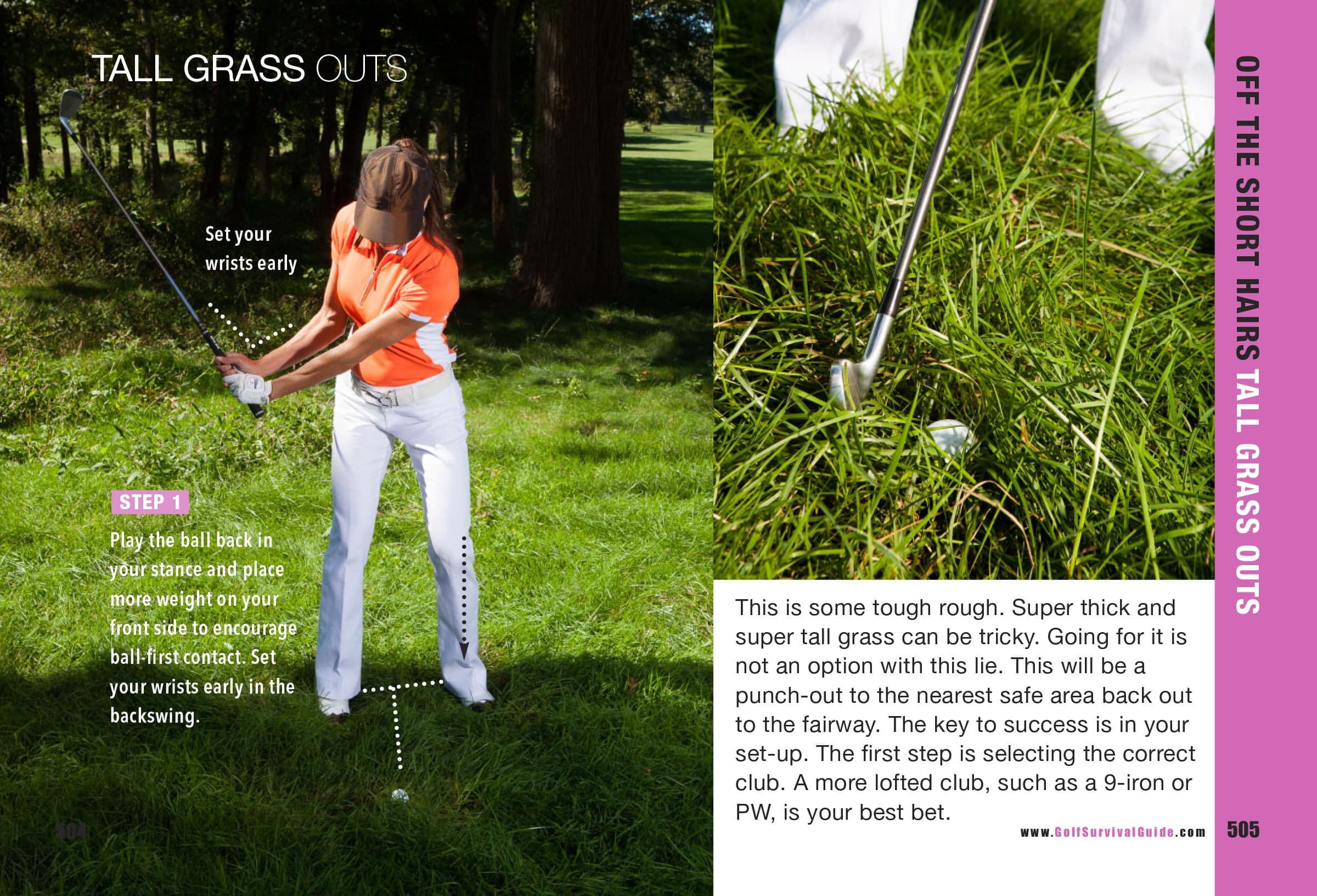 Tall Grass and Trees 5